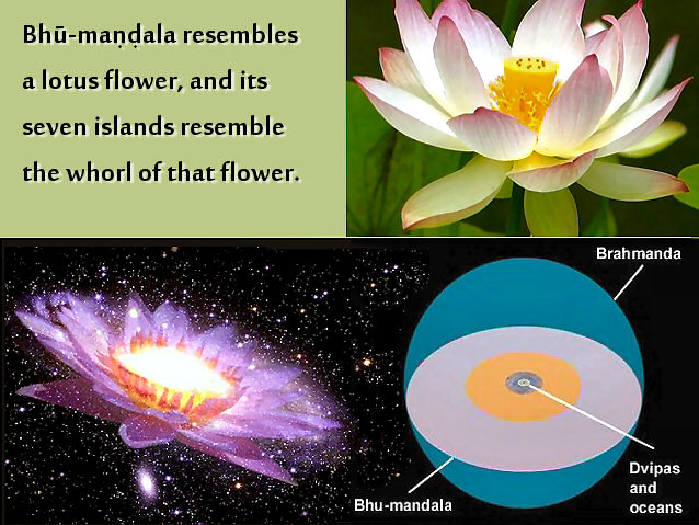 bhumandala-lotus