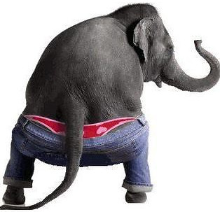 Elephant Ass