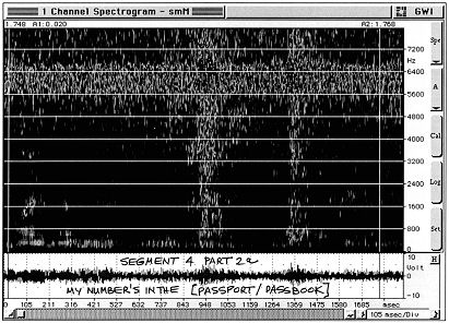 Audio Spectrum Analysis: My number's in the [passport!passbook]