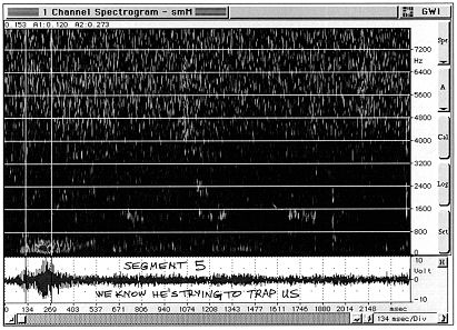 Audio Spectrum Analysis: We know He's trying to Trap us