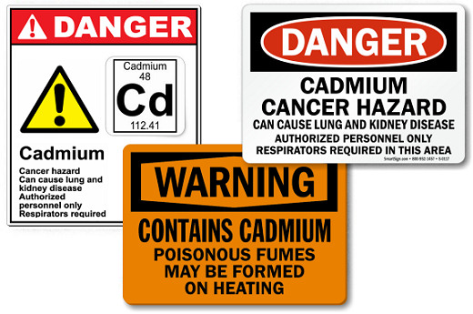 The Truth about Srila Prabhupada's cadmium poisoning